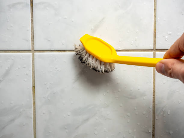 Best Certified Mold Removal  in Mino Tassajara, CA