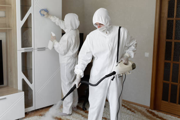Best Mold Damage Repair  in Mino Tassajara, CA