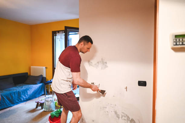 Best Residential Mold Removal  in Mino Tassajara, CA